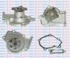 AQUAPLUS 85-2900 Water Pump